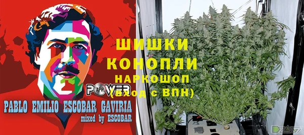 хмурый Горно-Алтайск