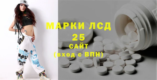 винт Горняк