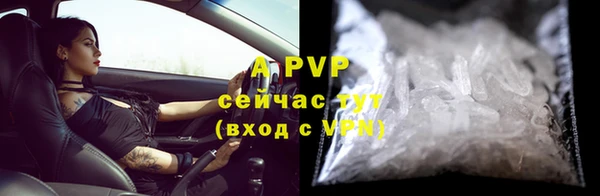 ПСИЛОЦИБИНОВЫЕ ГРИБЫ Горнозаводск