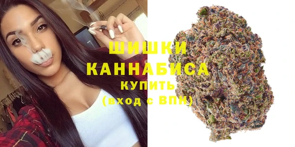 винт Горняк