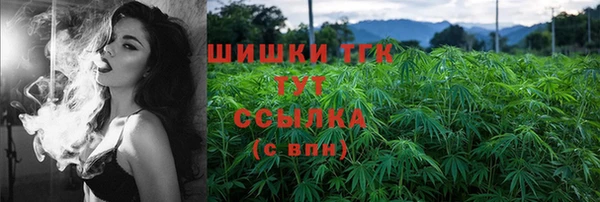 винт Горняк