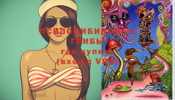 хмурый Горно-Алтайск